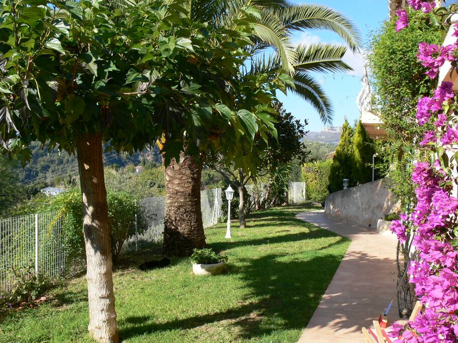 Le jardin