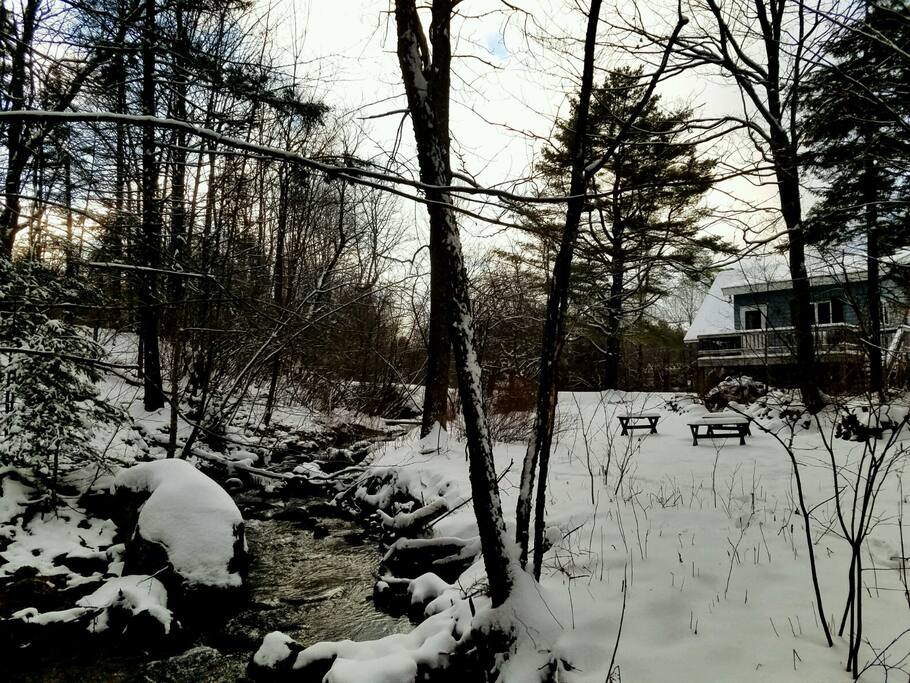 A snowy streamside view
