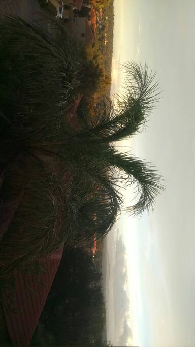 View from terrace
