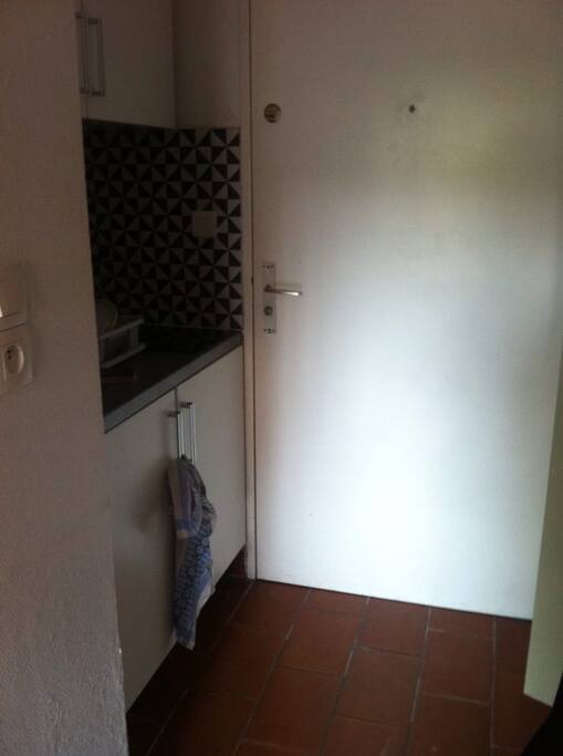 Coin cuisine avec plaques de cuisson, micro-ondes, frigo.