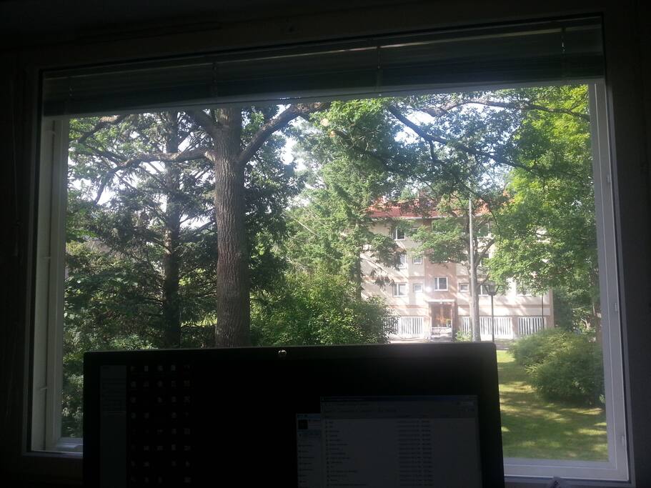 The view from the window :)