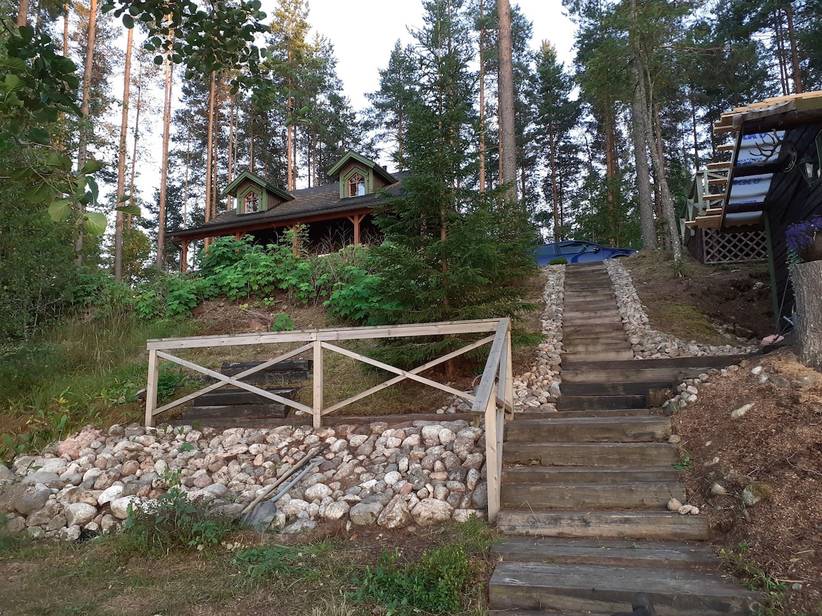 A wooden staircase leads up from a rocky path to a charming cabin surrounded by trees. The cabin features a green roof and is set among lush foliage. Natural landscaping elements, including stones and wooden railings, enhance the outdoor space.