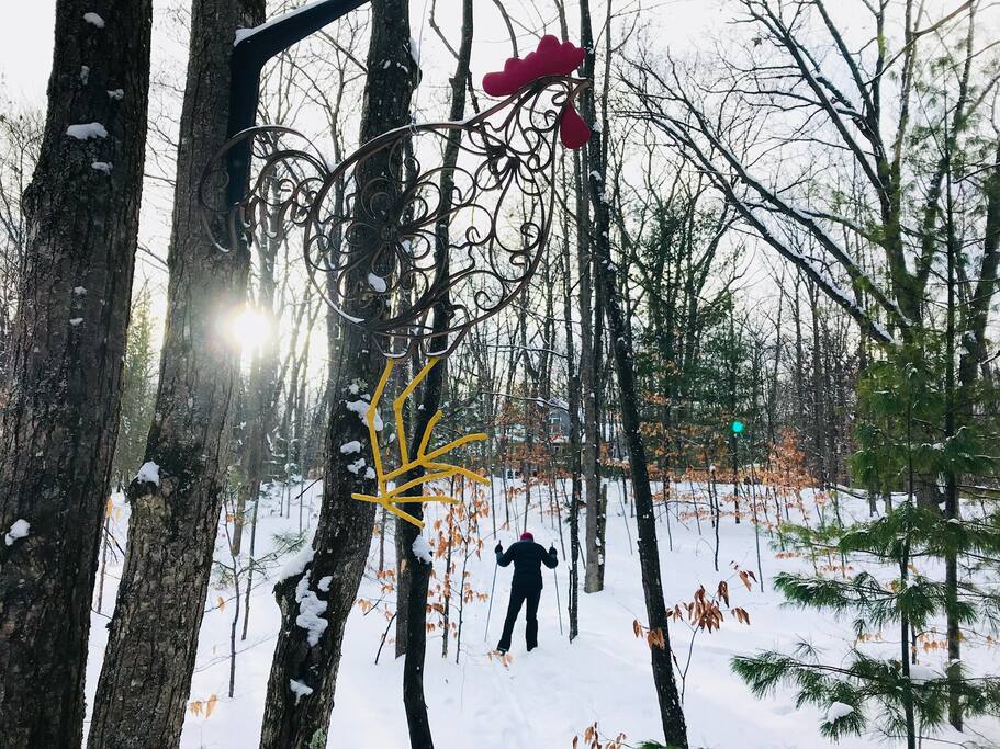 Wonderful XCountry skiing / winter sports trail right out your private entrance.