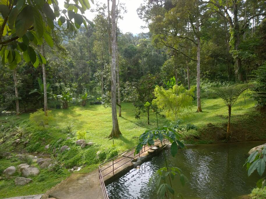 Taiping Bamboo Resort 2 Rooms Family Suite 2 Bedrooms 2 Bathrooms Nature Lodge In Taiping Malaysia