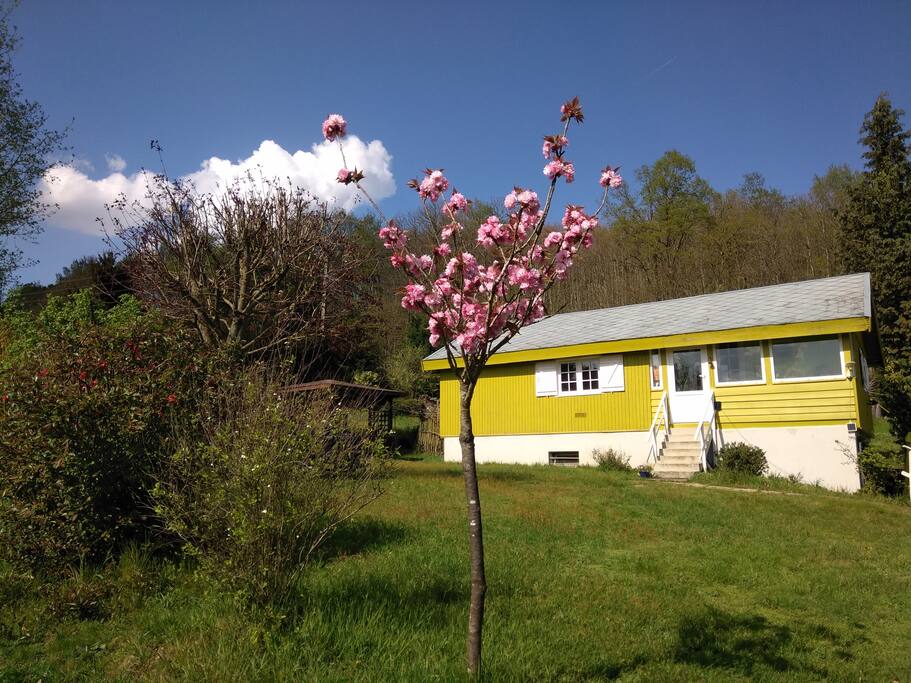 Chalet vue Sud Ouest (entrée, salon, véranda)