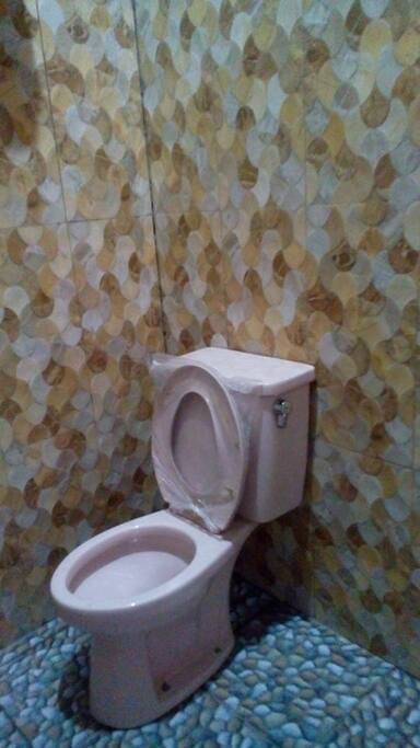 New toilet bowl !
