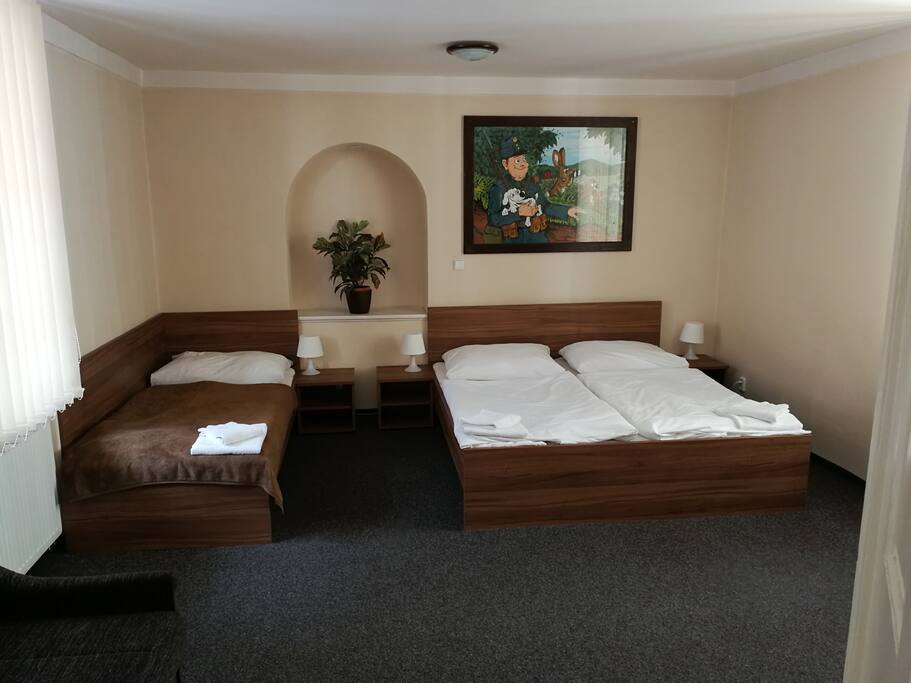 Penzion U vejk pokoj 5 Bed and breakfasts for Rent 