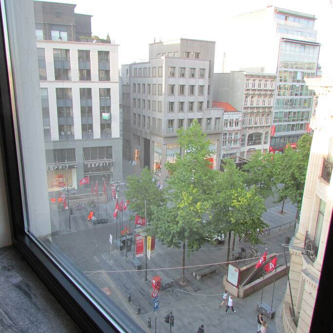 View From Salon