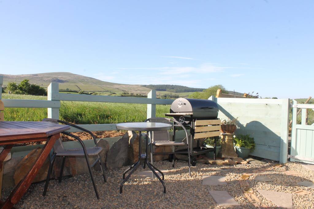 Preseli top from garden