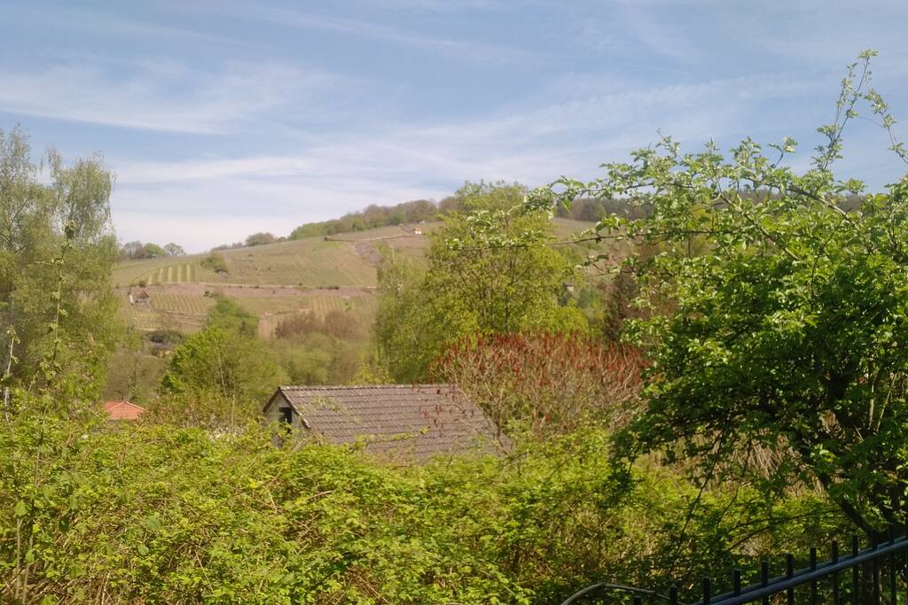 Michelbacher Weinberge