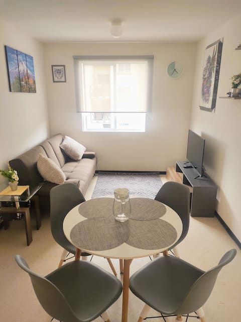 Excellent apartment "Mingaleri"