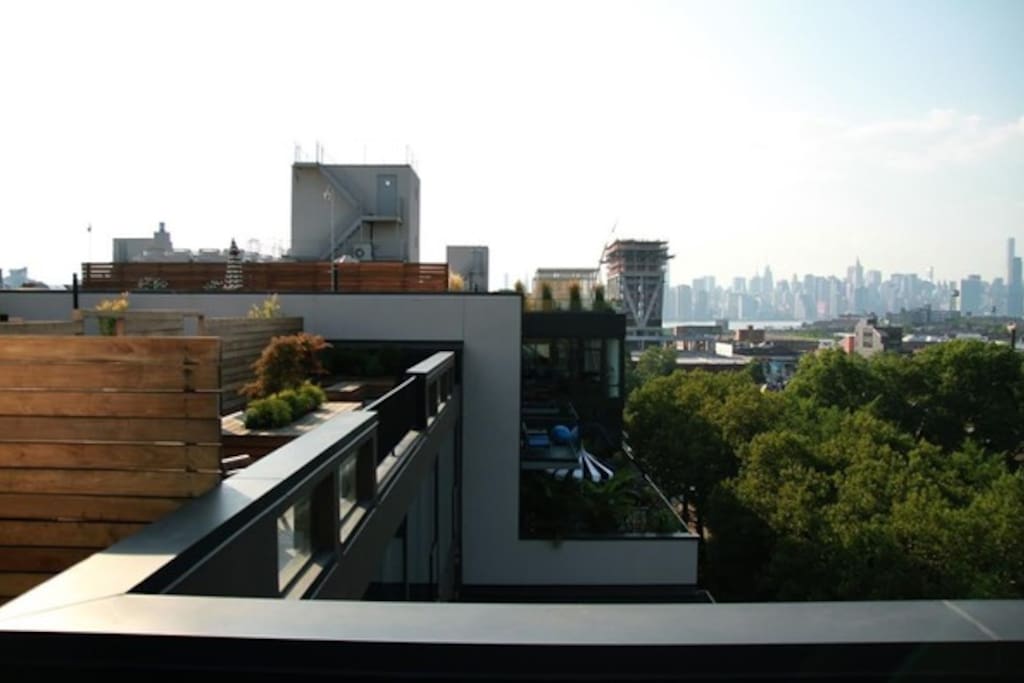 Manhattan and park views from the roof