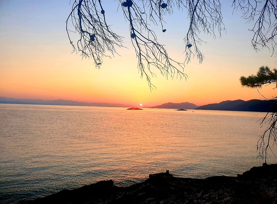 A tranquil view features the sun setting over calm waters, with soft ripples reflecting warm colors. The horizon is dotted with distant islands, while branches from nearby trees frame the scene, creating a serene coastal atmosphere.