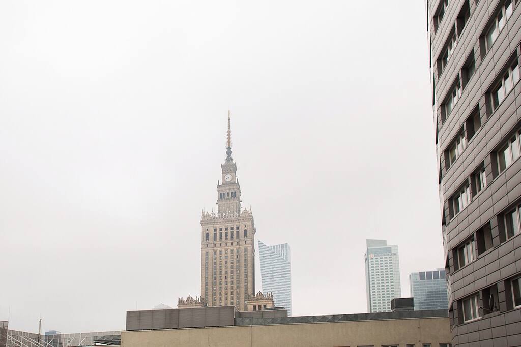 window view