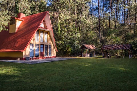 House in the middle of the forest Ideal for families