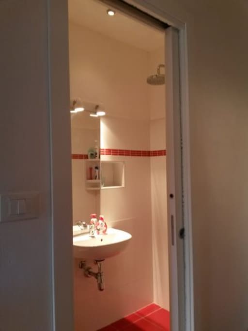 Shower room