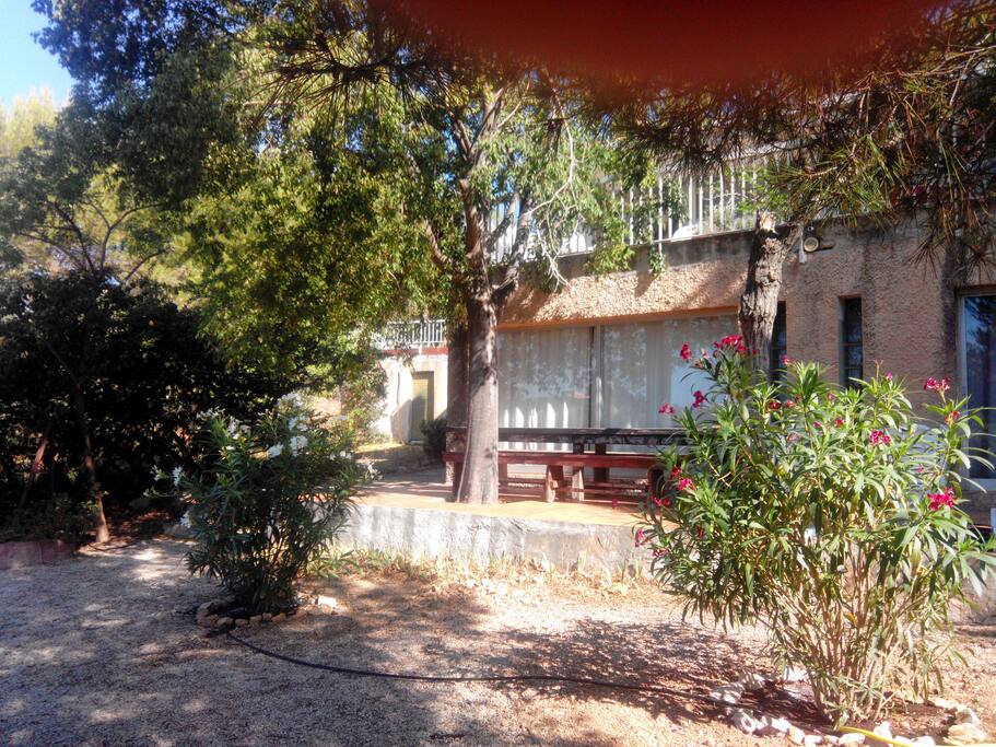 The Garden Apartment as seen from the garden with laurels.