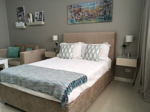 Airbnb con mejor rendimiento: Magnifique Studio in Recoleta ! en Comuna 2