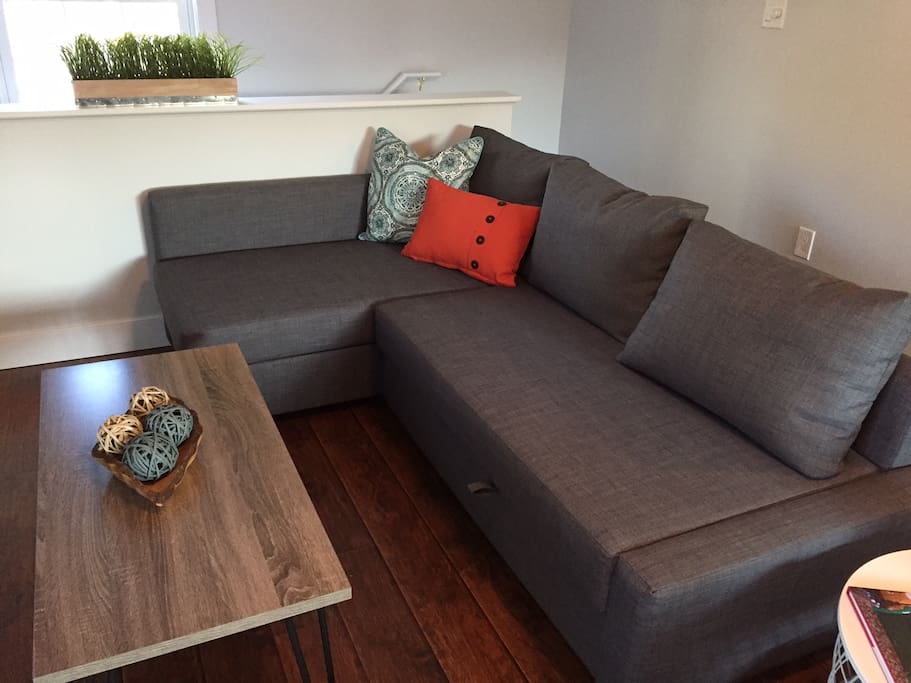 Spacious living area with full size sofa bed.
