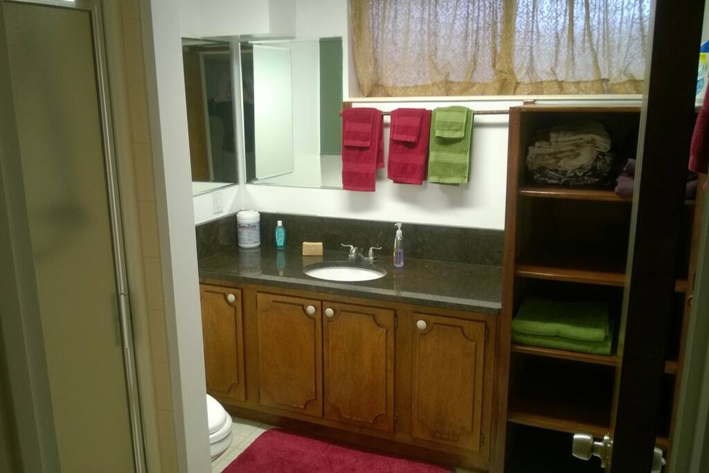 Granite countertop well lit, 8' x 9'. No bathtub, but there is a nice shower just at the left of this picture.