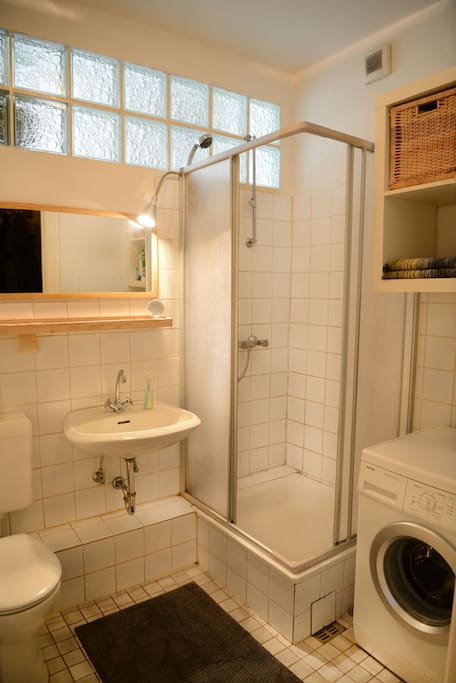Bathroom/laundry is small with only a standing shower, but it gets the job done. The glass bricks let in natural night during the day. A nice little touch on a pretty basic space.