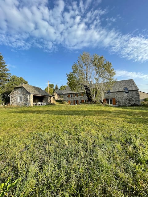 Renovated farmhouse, Aubrac, St Urcize, Cantal