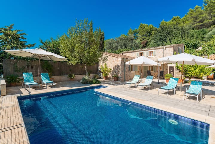Finca Coster gallery image 5