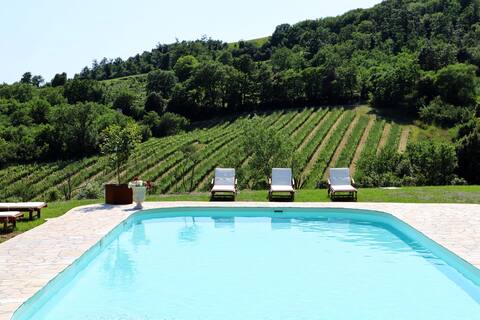 Charming villa w/private pool and vineyard views