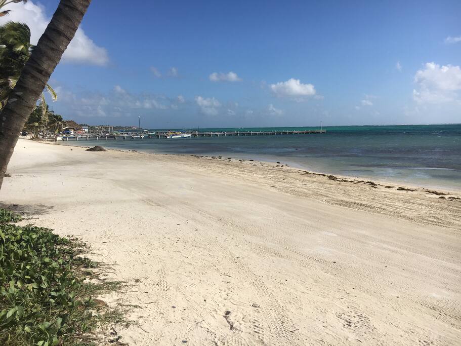 Beachside from my place, less than a minute walk away!