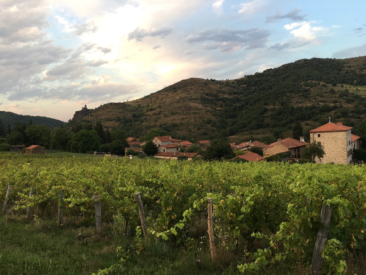 A scenic view of rolling hills and vineyards is captured, with quaint village homes featuring terracotta roofs nestled amongst greenery. Soft clouds drift in a pale sky, enhancing the tranquil landscape.