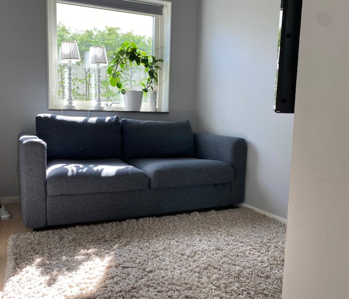 Gästezimmer mit bequemem Schlafsofa 140 cm breit. Fernseher.
Garderobe für Gäste Kleidung nebenan verfügbar