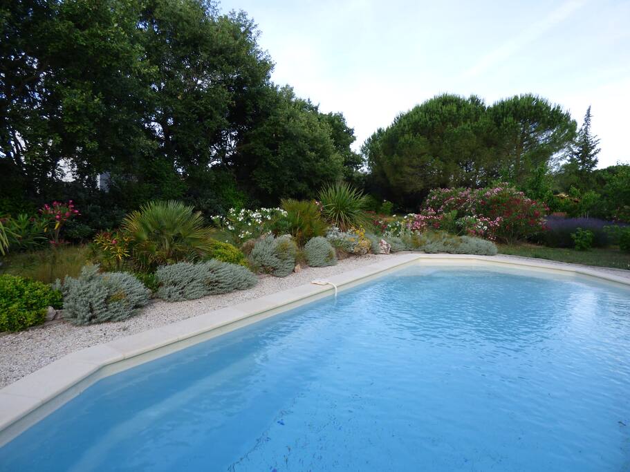 la piscine et ses abords