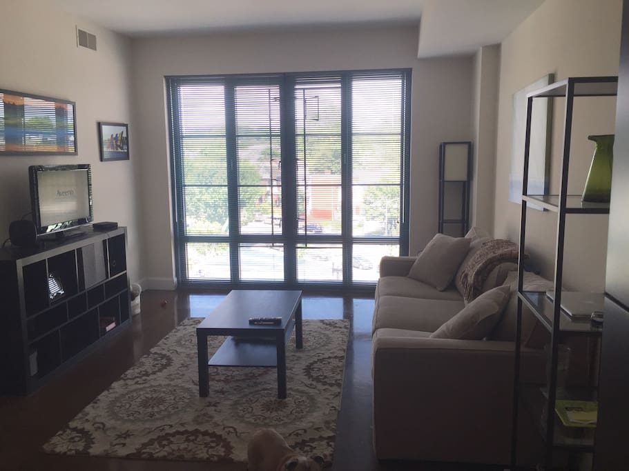 Living room with a view