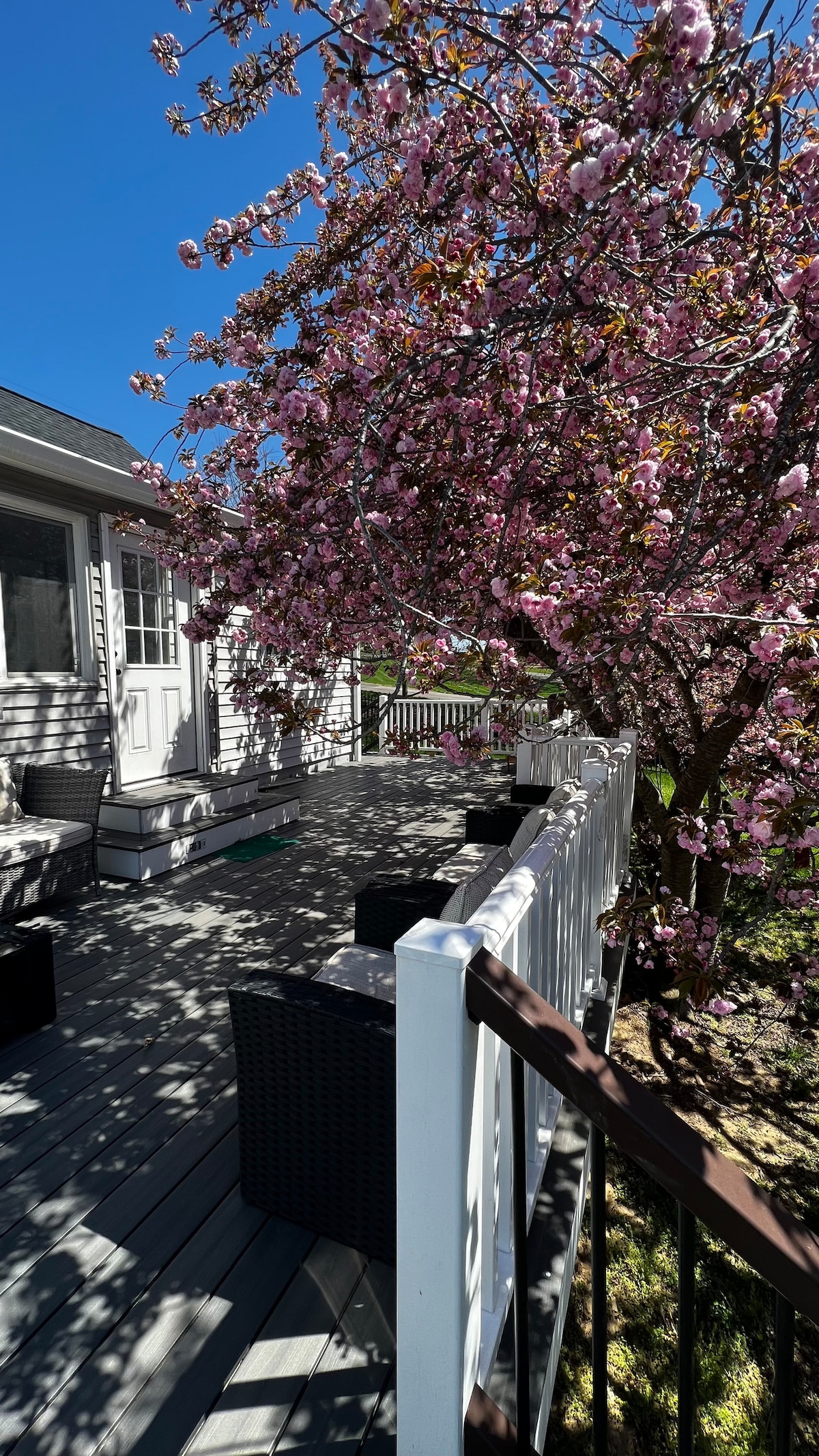 Entire 1House 5BR 4Bath on I95 HWY Washington DC Villas for Rent in