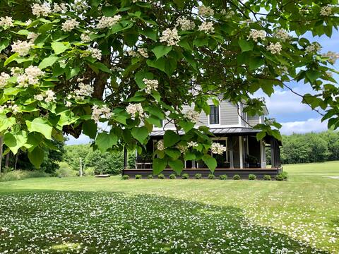 The Bailey House