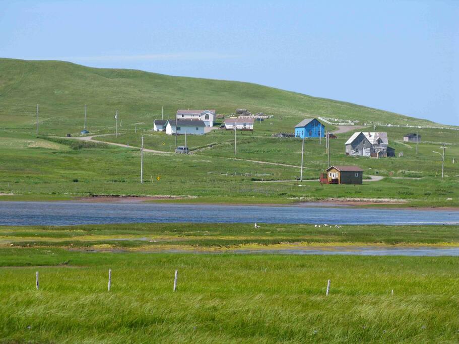 surroundings