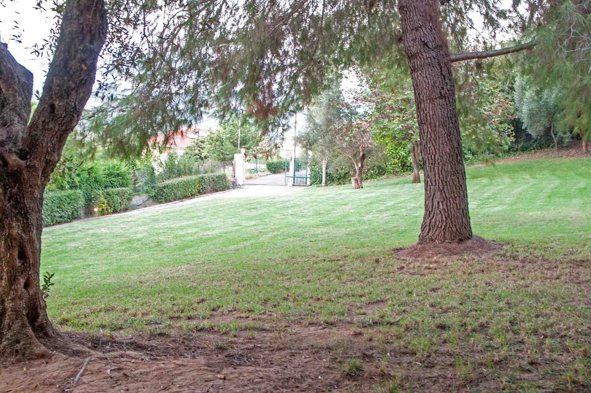 A well-maintained grassy area is bordered by trees, providing a serene setting. The path leads to an entrance gate, framed by lush greenery. Sunlight filters through the leaves, casting gentle shadows on the ground.
