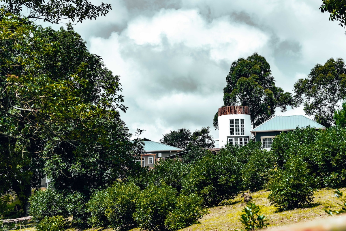 The house structure is surrounded by flourishing greenery, with fruit trees and shrubs dotting the landscape. A chimney tops the building, complementing its unique design. Overhead, clouds drift by in a partly cloudy sky, adding to the serene atmosphere of the location.