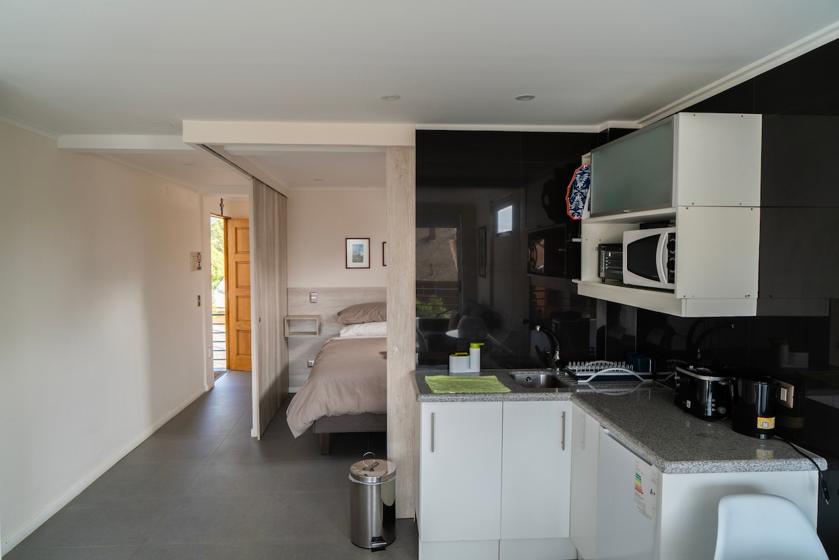 A modern suite is depicted, featuring a compact kitchen area with appliances including a microwave and coffee maker. A spacious bed is visible in the adjoining area, separated by a sliding door. Natural light fills the room through a nearby entrance.