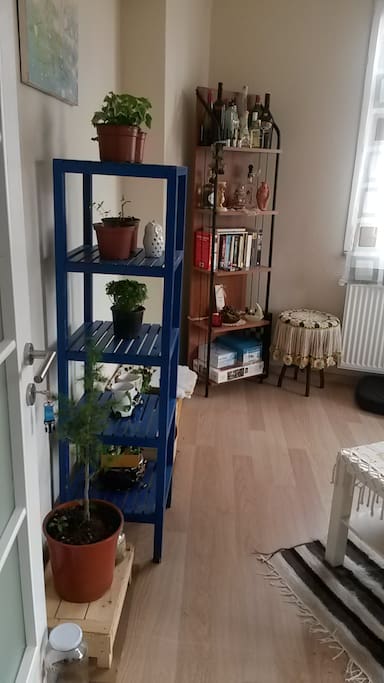 The living room