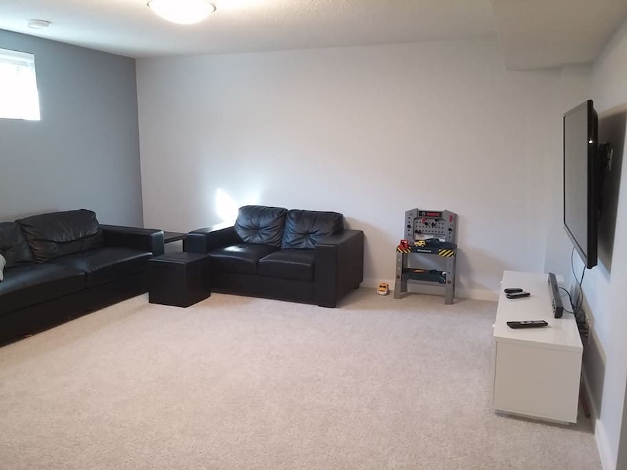 Recroom with tv. Can use a queen size air mattress in this space if needed. Located next to the bedroom