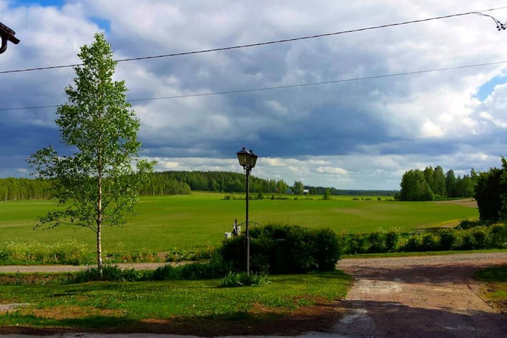 Landscape from yard.