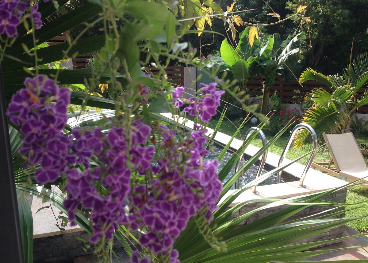 Vibrant purple flowers frame a serene garden scene featuring a pool. Lush green foliage surrounds the area, with a few lounge chairs positioned beside the water. The landscape captures a peaceful atmosphere enhanced by natural elements and colorful plants.
