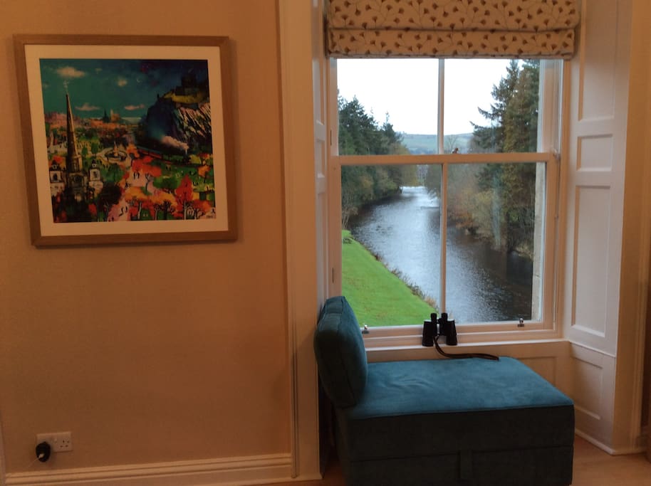 Birdwatching from the Lounge