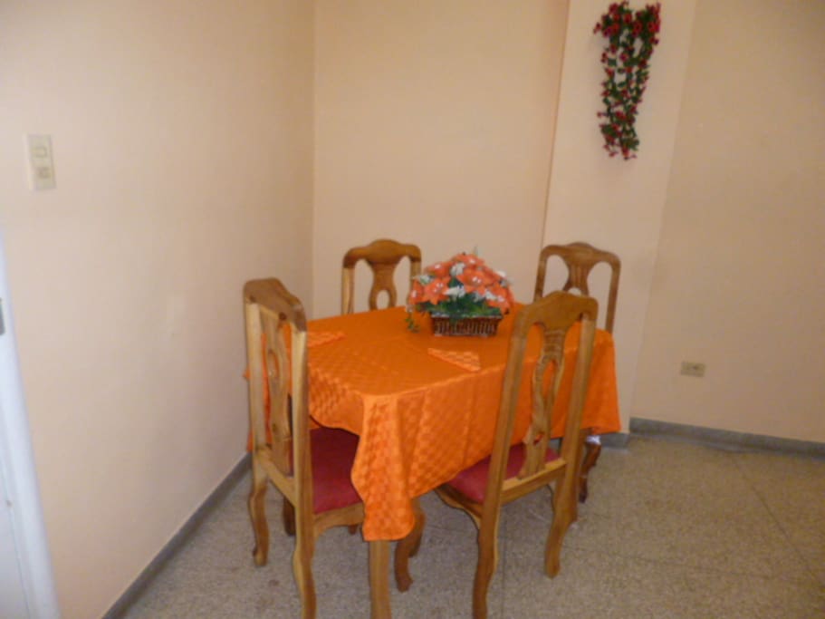 Su Salon Comedor.
Posse Cocina peq, Telefono, TV,