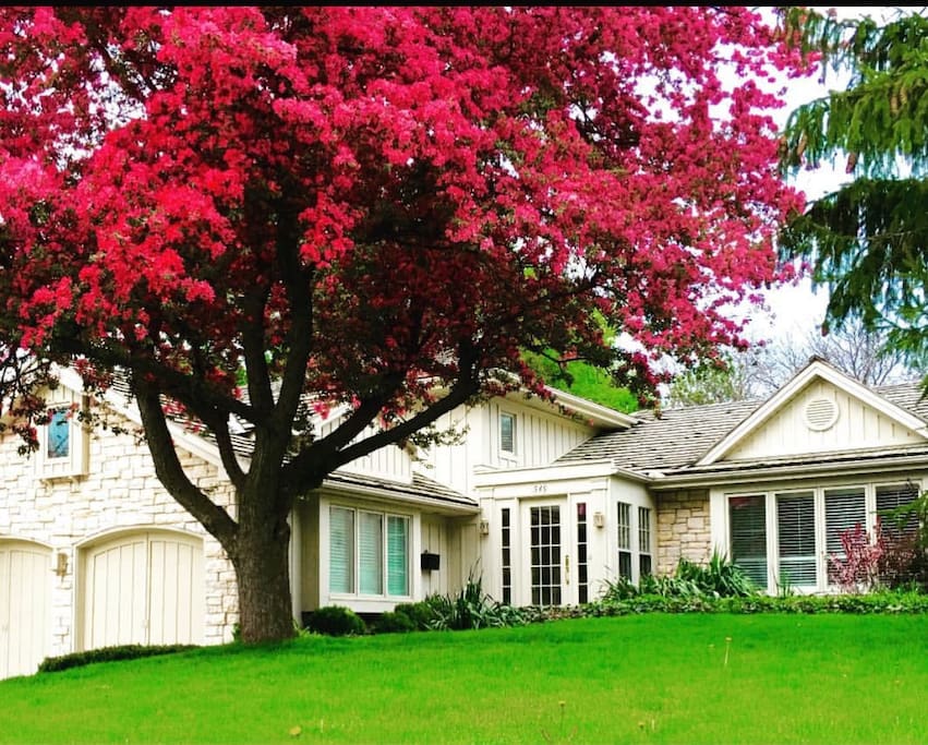 Amazing curb side appeal