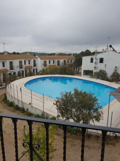 Piscina común