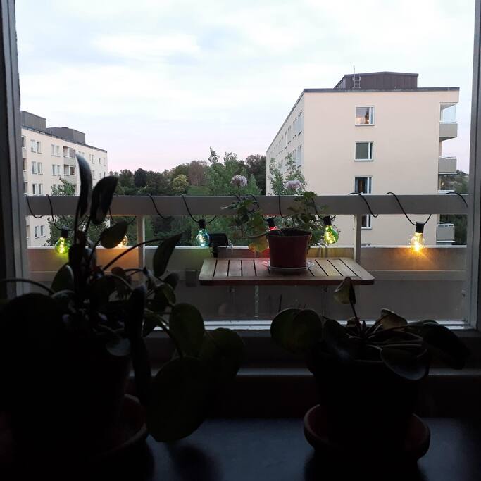 View from bedroom