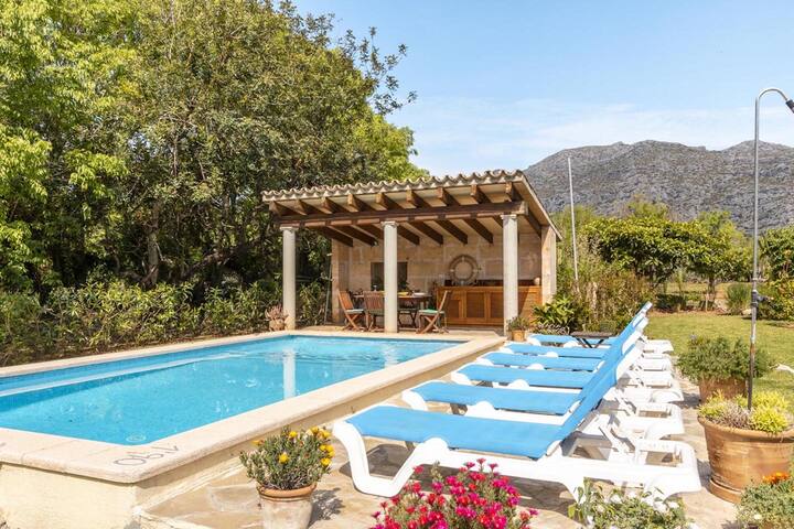 Alegre gallery image 2