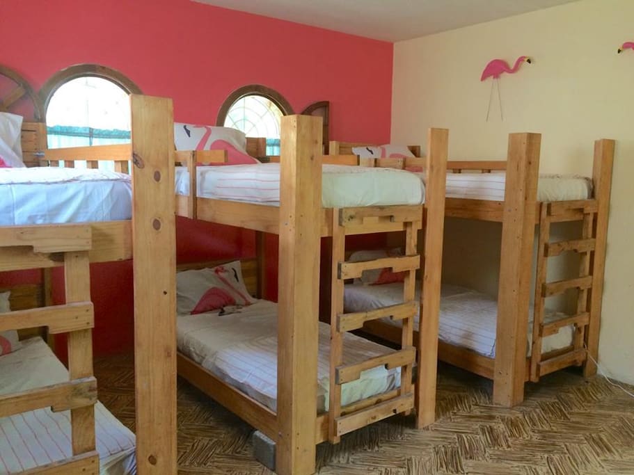 3 bunk beds are in our shared flamingo bunk room.